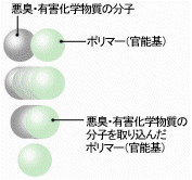 グラフト.gif